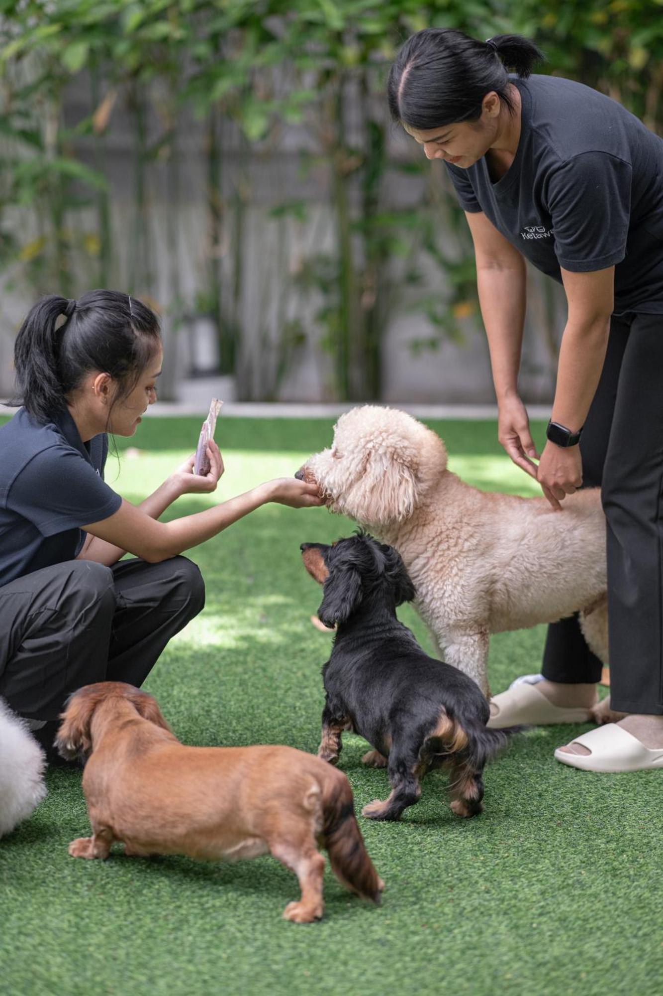Ketawa Pet Friendly Hotel Chiang Mai Exterior foto