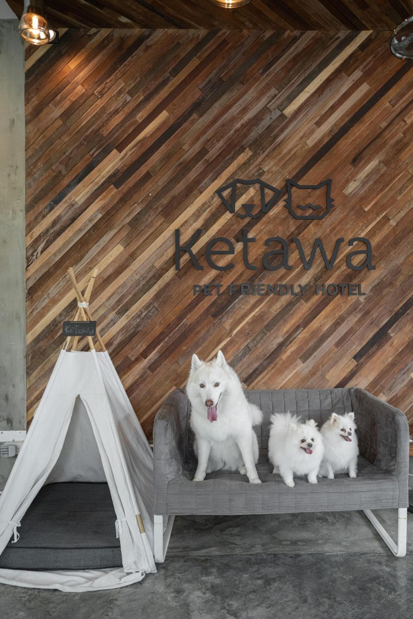 Ketawa Pet Friendly Hotel Chiang Mai Exterior foto